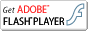 FlashPlayer�����������